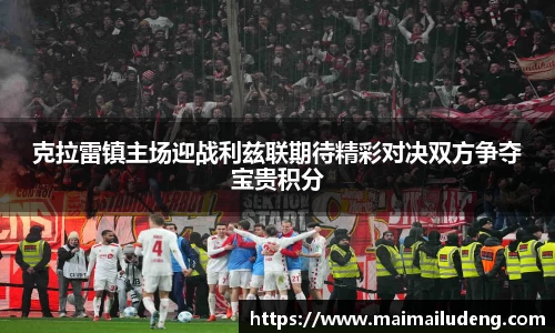 快盈VIII